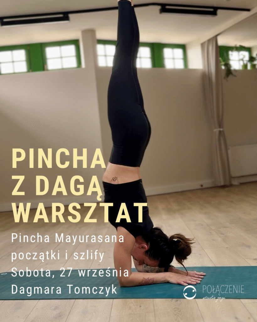 Pincha z Dagą warsztat